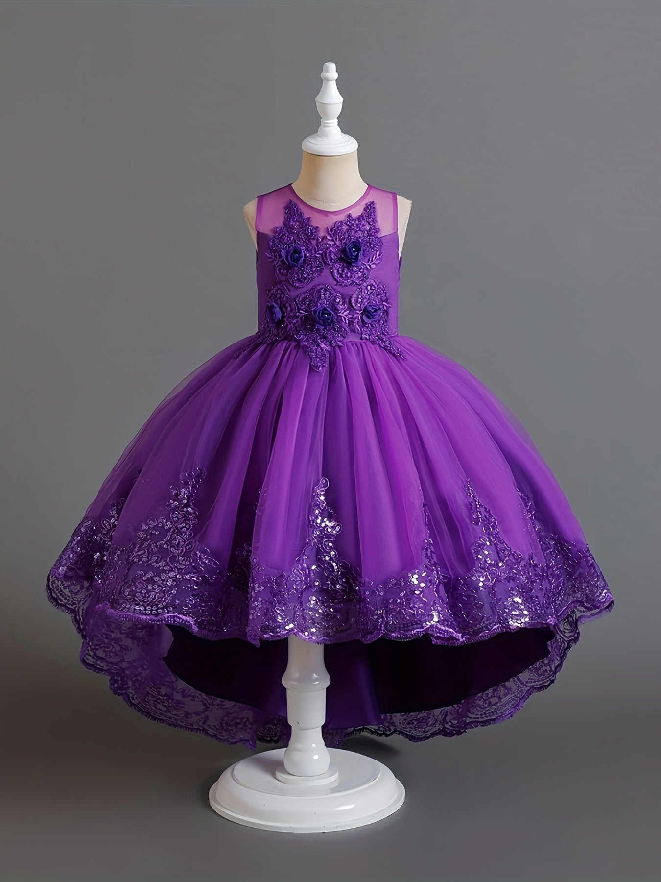 Elegant Embroidered Lace Princess Tutu Dress for Girls