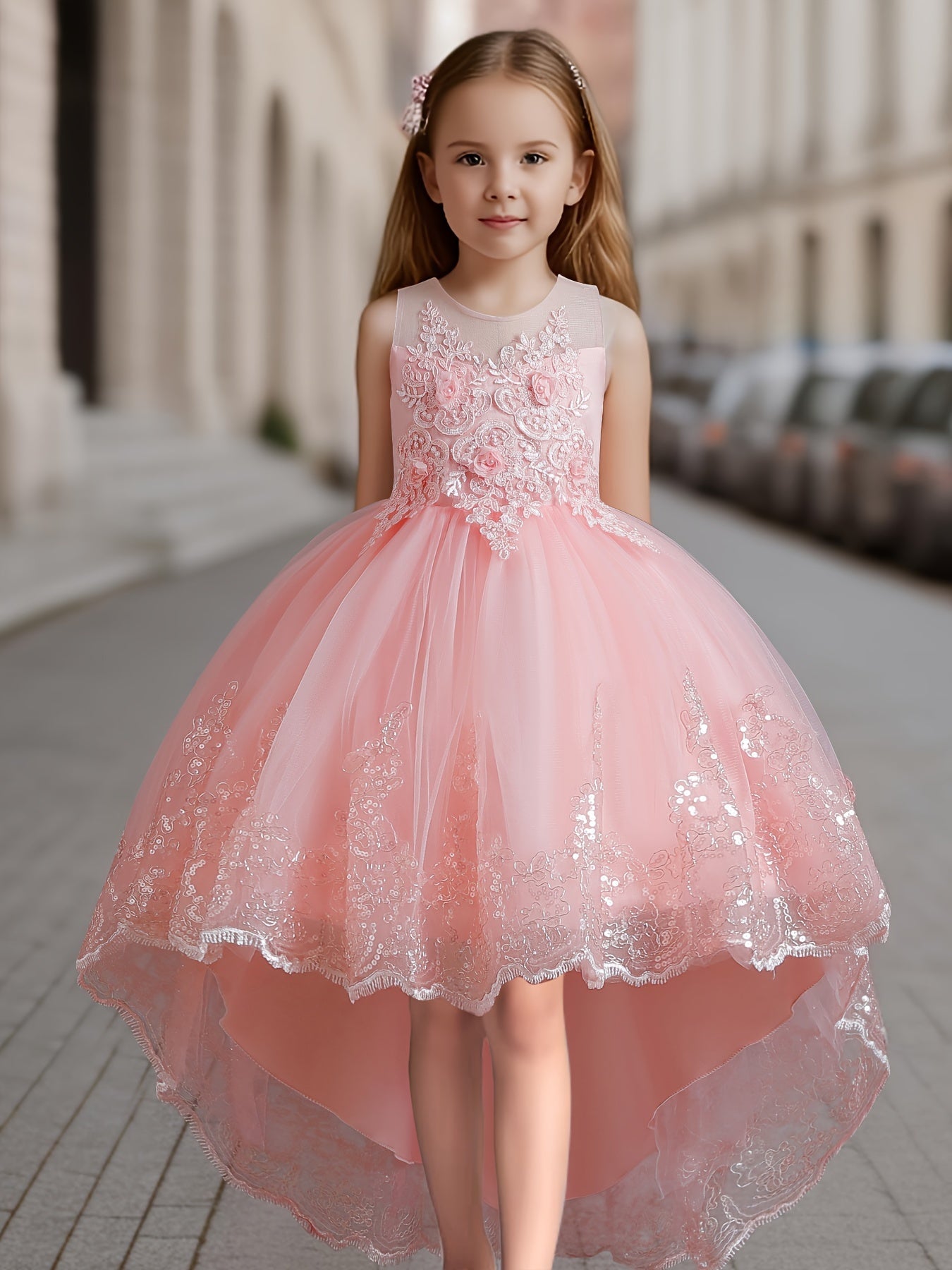 Elegant Embroidered Lace Princess Tutu Dress for Girls